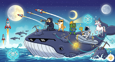 Whale Watching